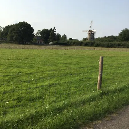 De Terp * Hernen